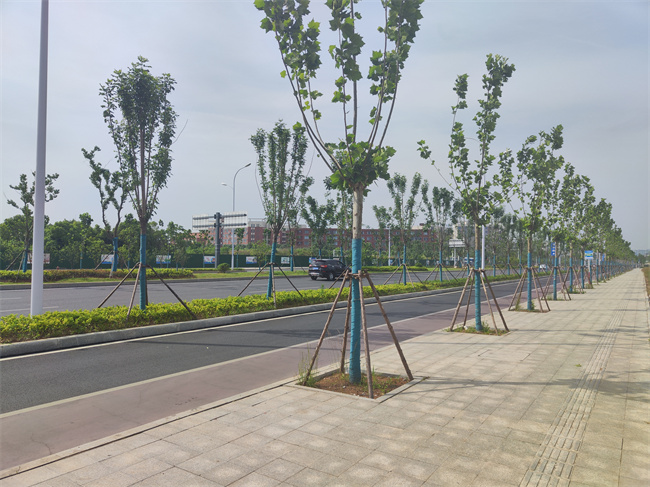 365Ӣ������(����)���޹�˾-Official website