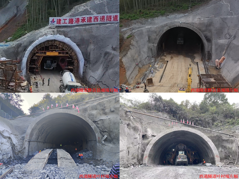 365Ӣ������(����)���޹�˾-Official website