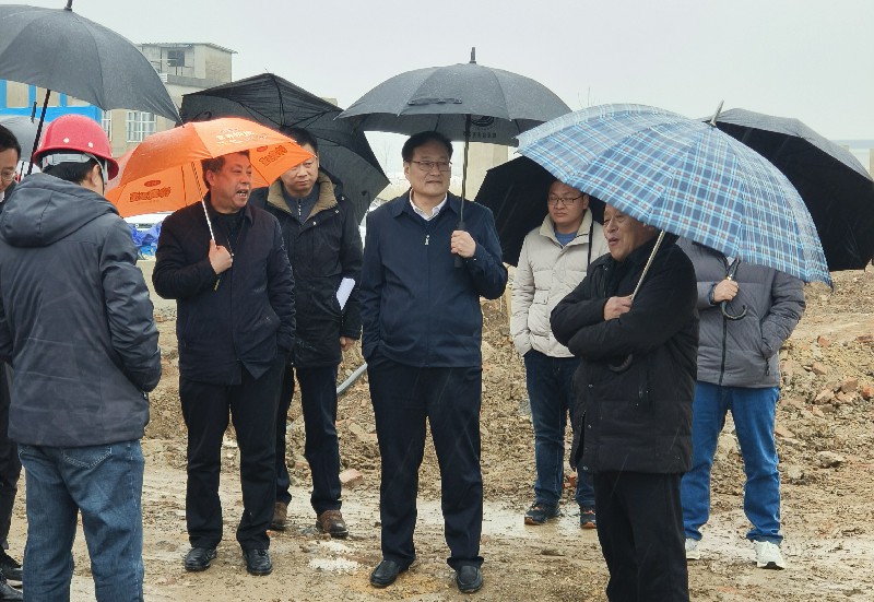 ���� (1).jpg