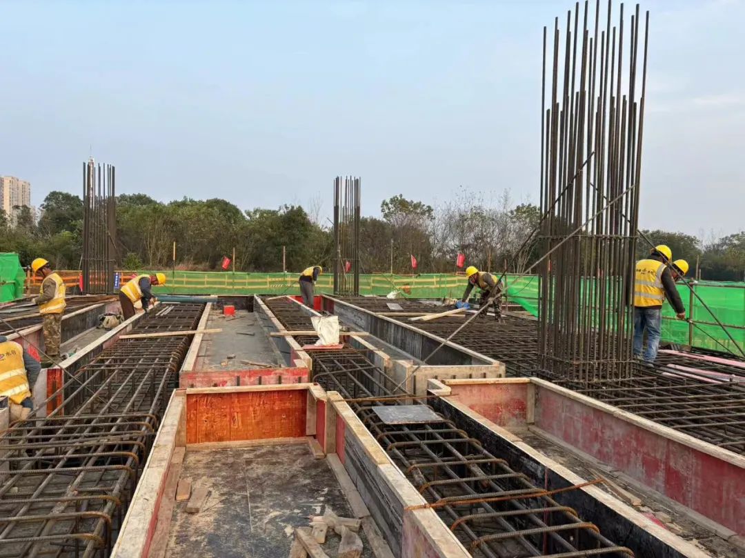 365Ӣ������(����)���޹�˾-Official website