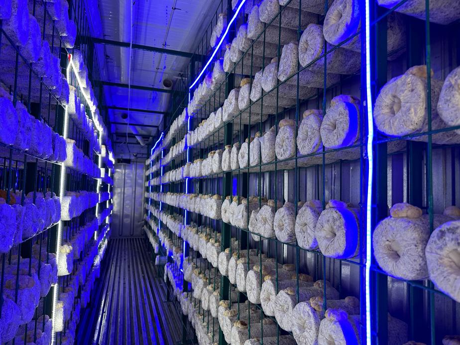 365Ӣ������(����)���޹�˾-Official website