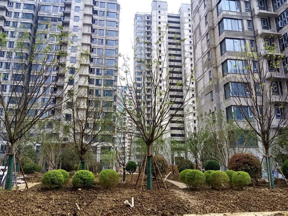 365Ӣ������(����)���޹�˾-Official website