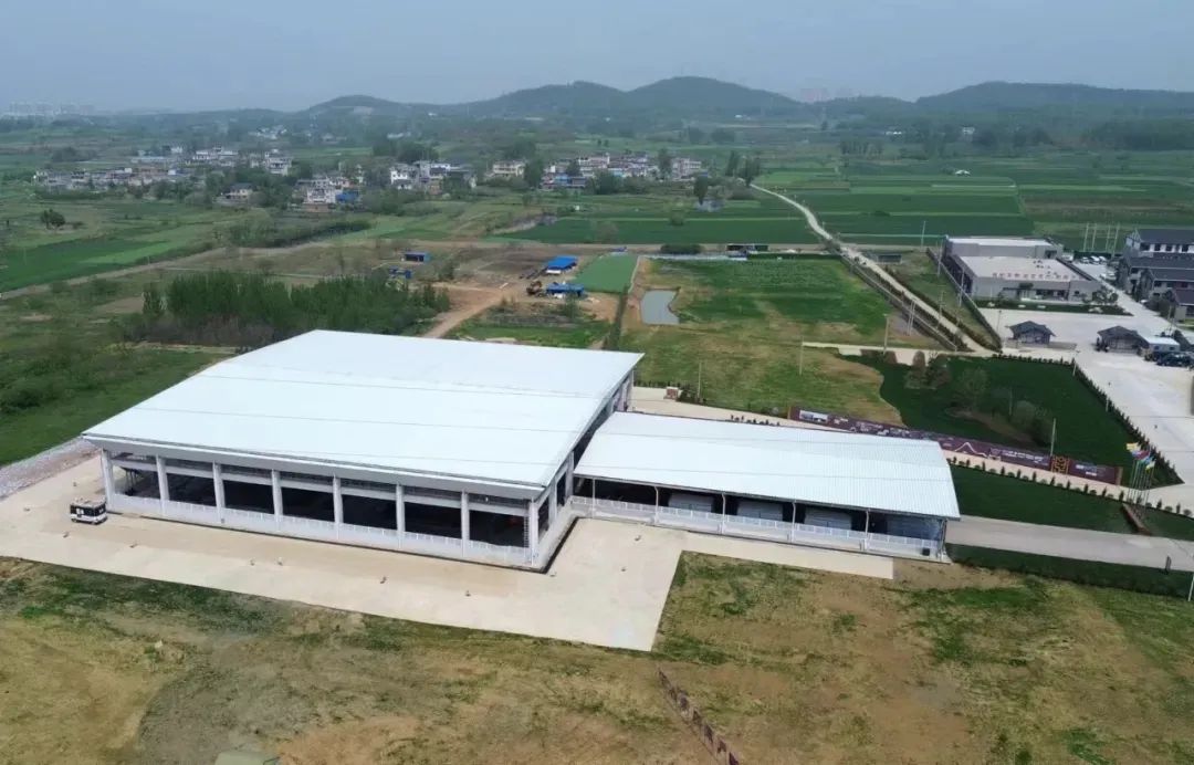 365Ӣ������(����)���޹�˾-Official website