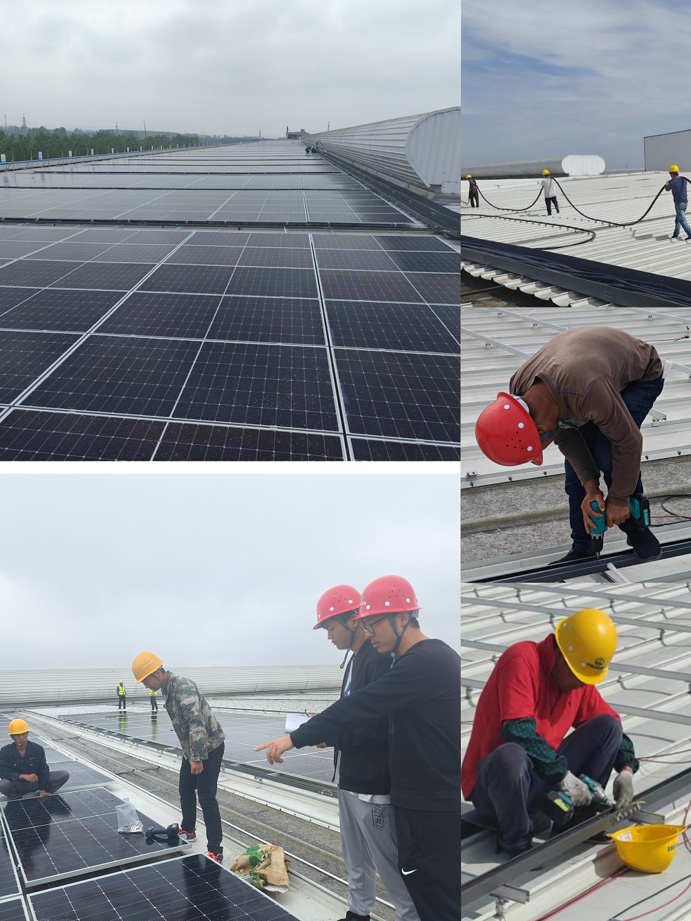 365Ӣ������(����)���޹�˾-Official website