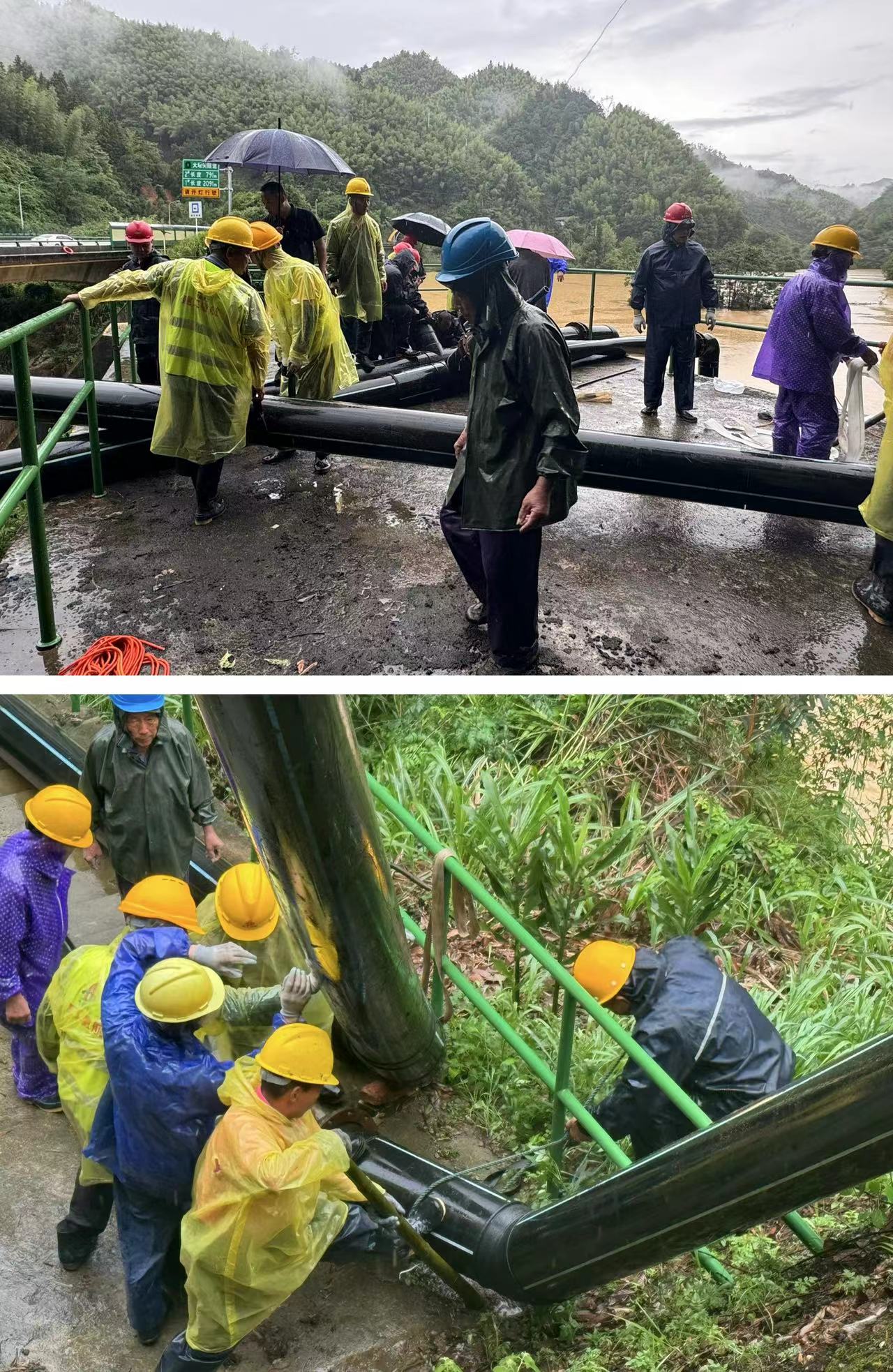 365Ӣ������(����)���޹�˾-Official website