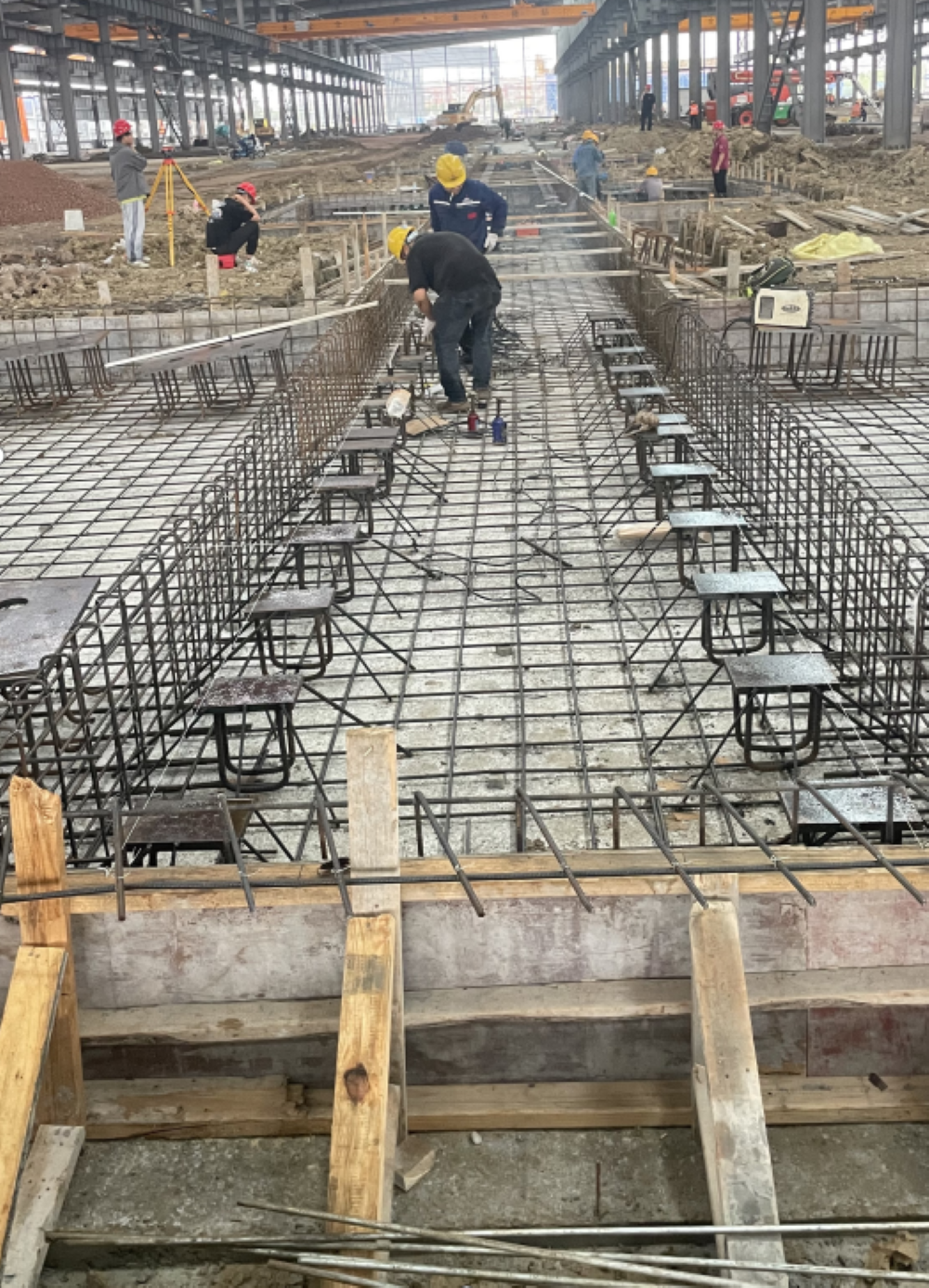 365Ӣ������(����)���޹�˾-Official website