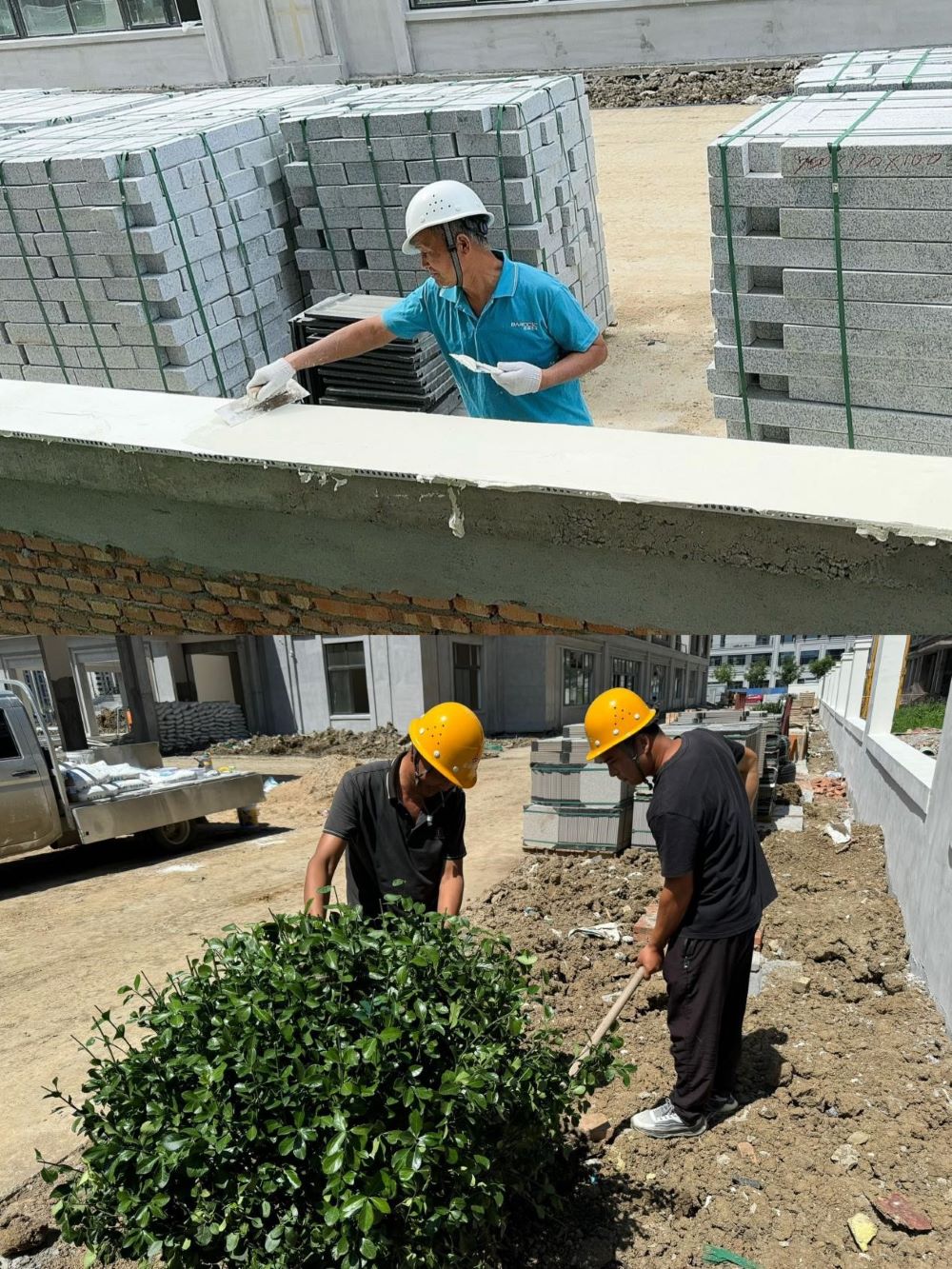 365Ӣ������(����)���޹�˾-Official website