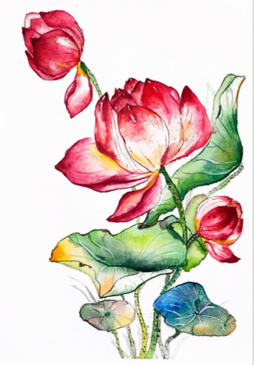 365Ӣ������(����)���޹�˾-Official website