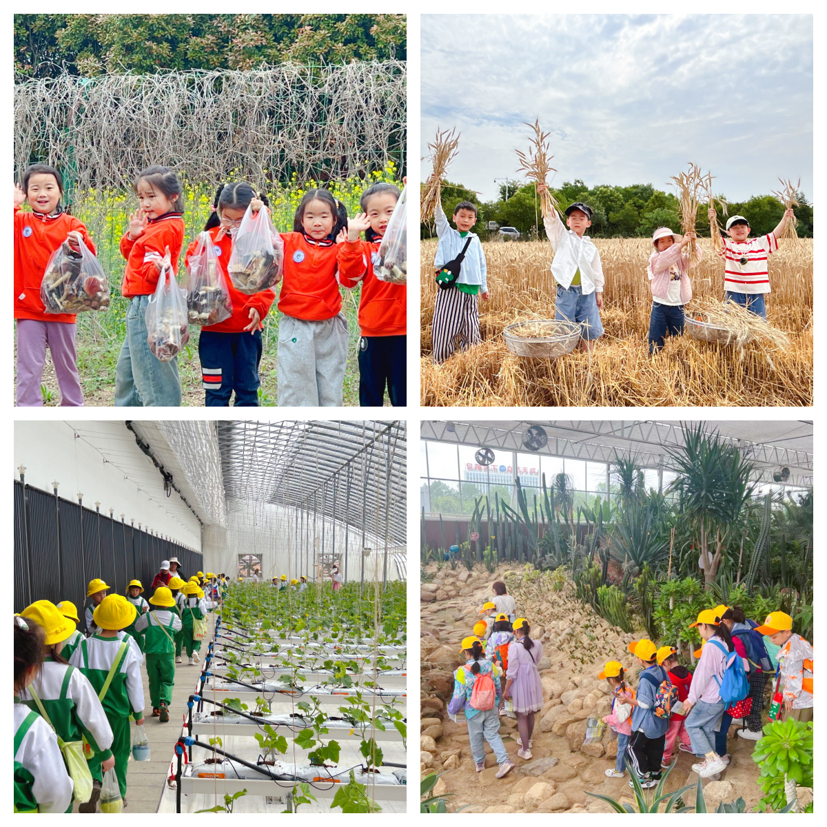 365Ӣ������(����)���޹�˾-Official website