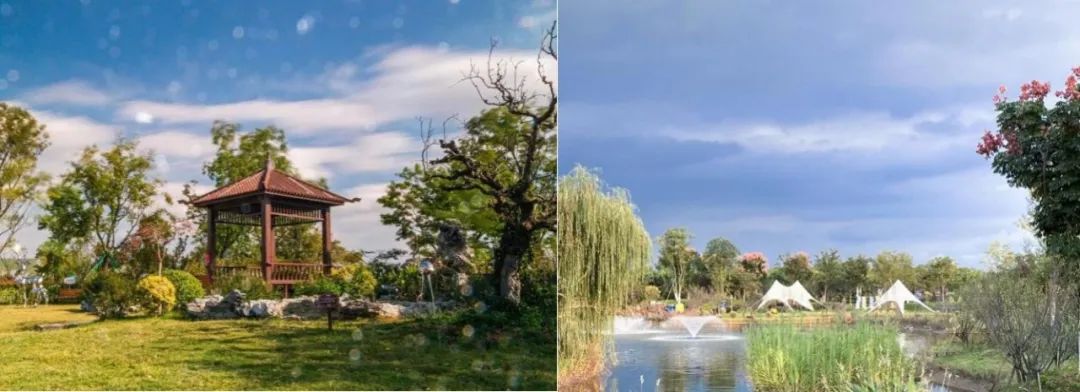 365Ӣ������(����)���޹�˾-Official website